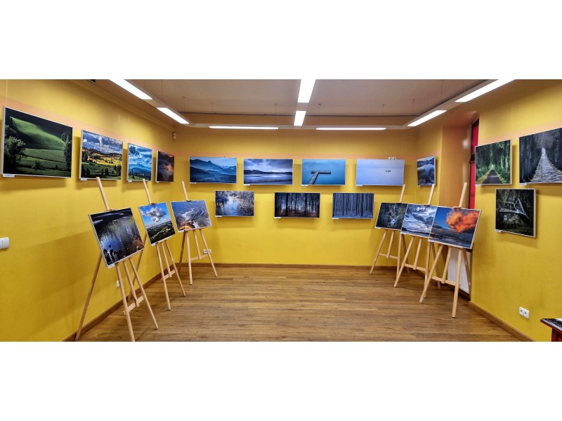 Galeria