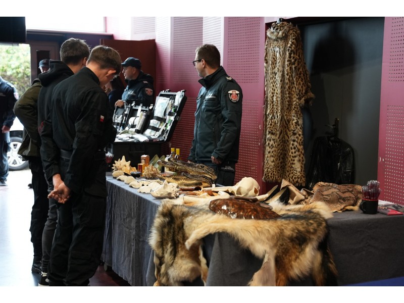 Galeria