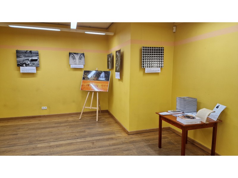 Galeria