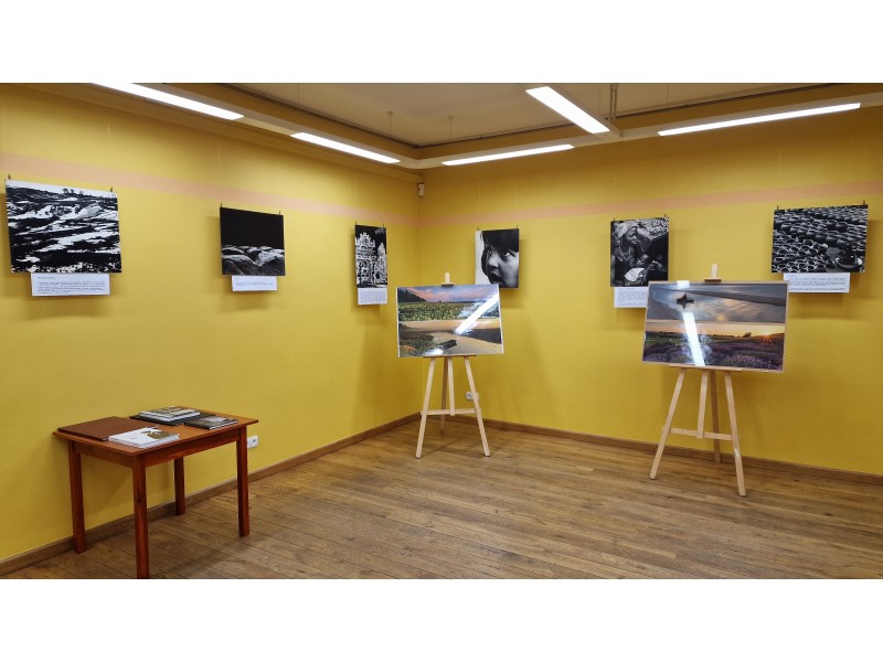 Galeria