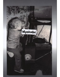 Wysłodki