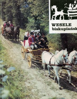 Wesele biskupiańskie