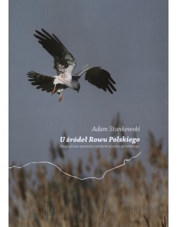 U źródeł Rowu Polskiego. Fotograficzne spotkania z ptakami powiatu gostyńskiego