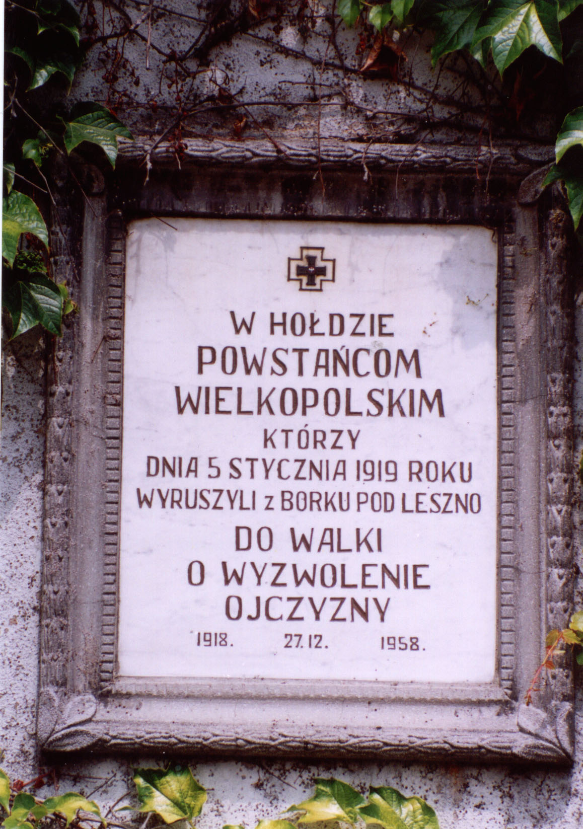 Borek Wielkopolski