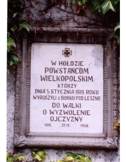 Borek Wielkopolski
