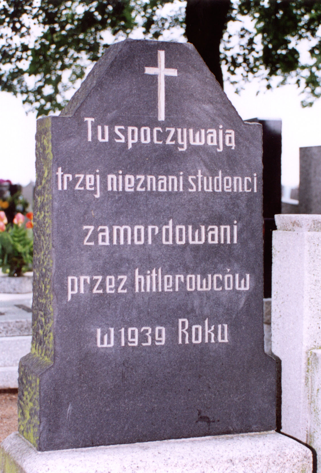 Pogorzela