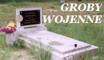 Wejdź na stronę www.poznan.uw.gov.pl/groby-wojenne